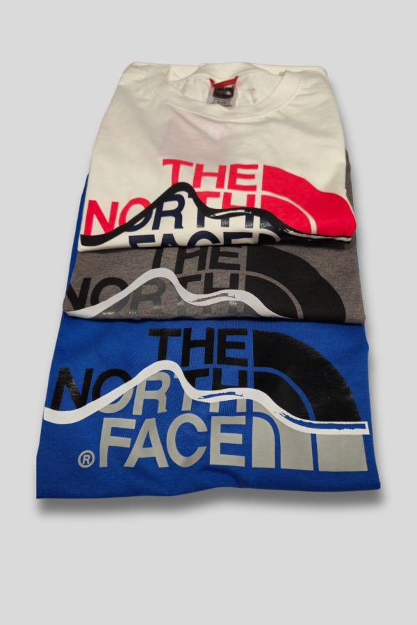 north face2